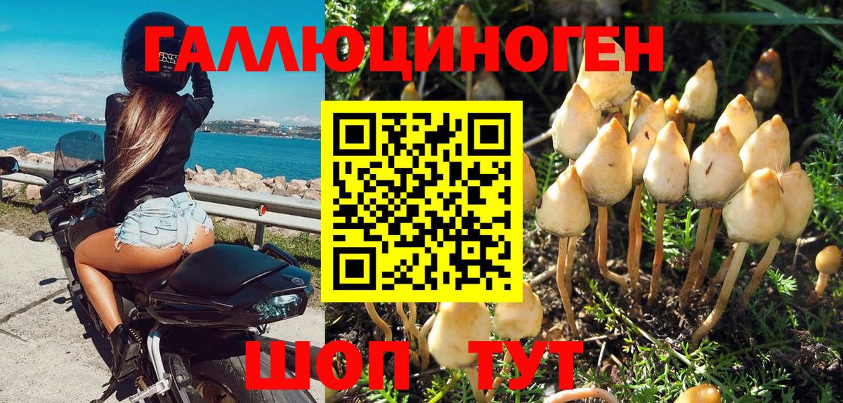 Галлюциногенные грибы Magic Shrooms Нововоронеж